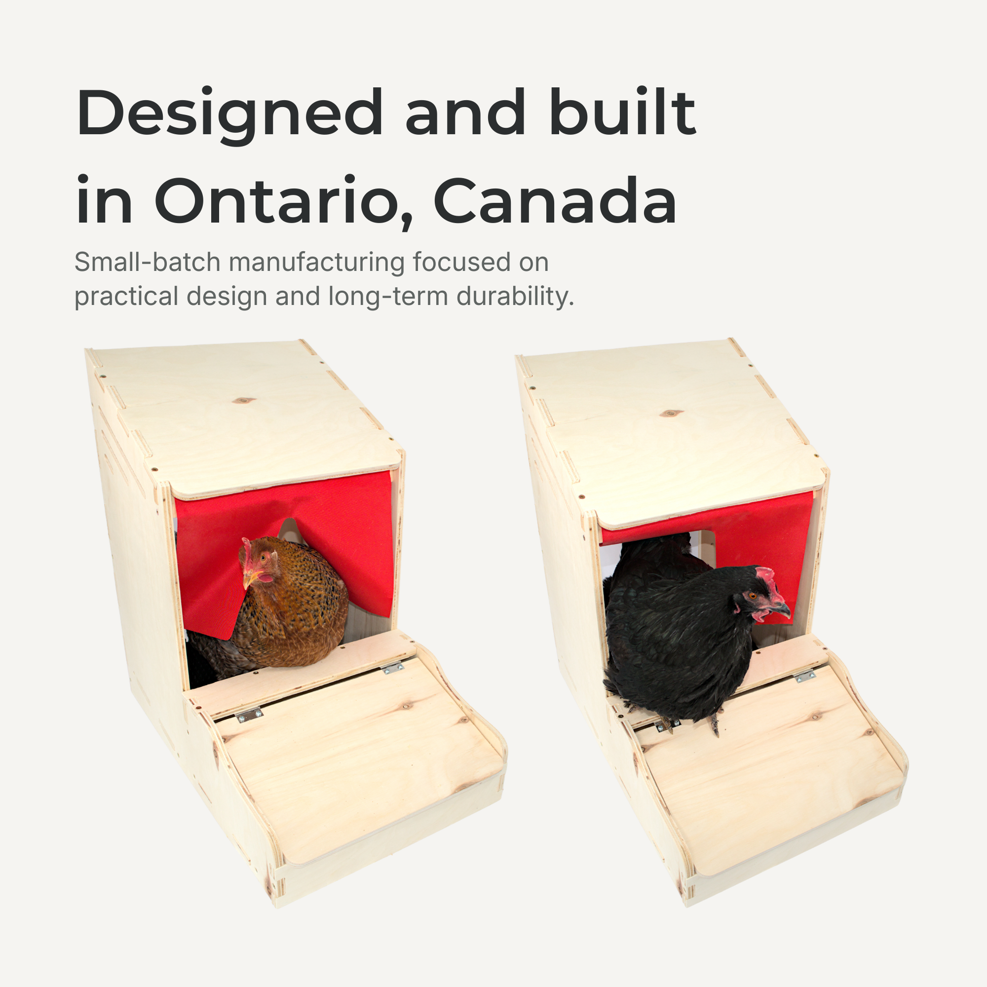 Rollaway Chicken Nesting Box open egg collection tray and interior design